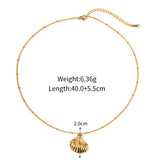 18K Gold Titanium Steel Shell Pendant Necklace, Beach Shell Summer Jewelry AL684