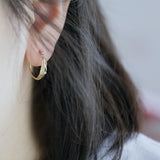 Feather Leaf Zircon Hoop Earrings CZ Earring, S925 Sterling Silver Earrings, Fashion Earrings AL1227