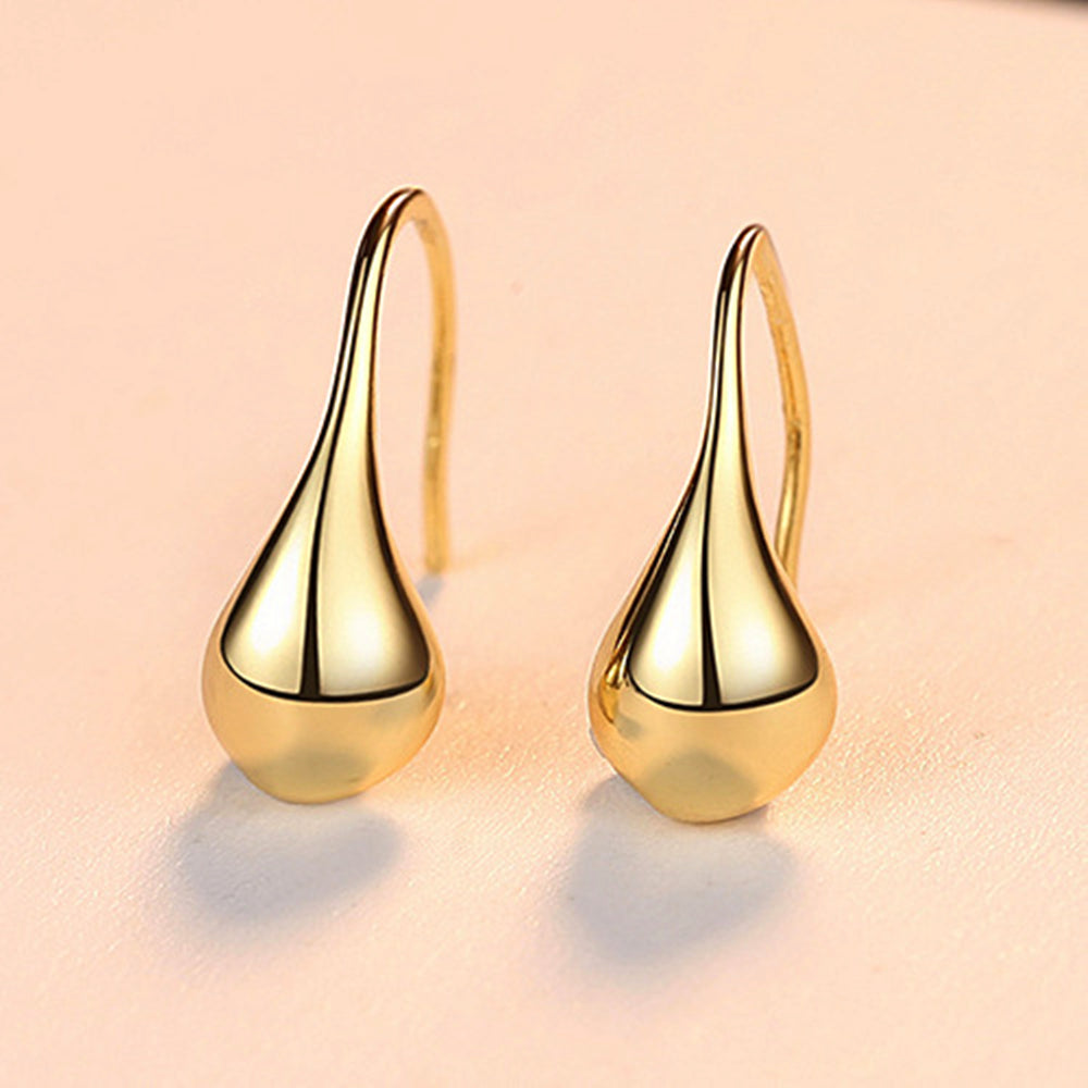 925 Sterling Silver Small Drop Earrings, Simple Hook Earrings, Fashion Jewelry AL845