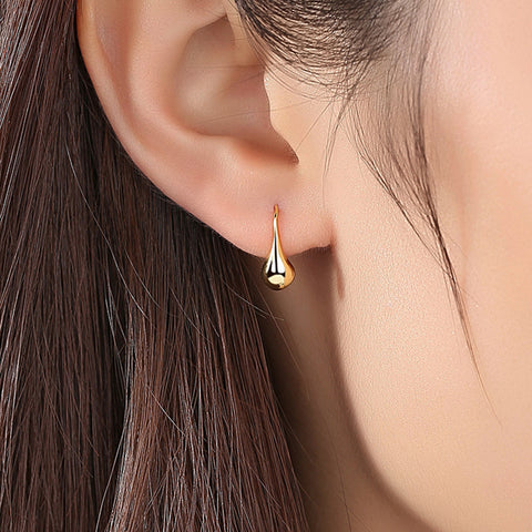 925 Sterling Silver Small Drop Earrings, Simple Hook Earrings, Fashion Jewelry AL845