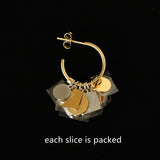 Gold Plated Multi Slice Hoop Earrings, Tiny Charms Earrings, Stainless Steel Waterproof Jewelry AL1052