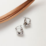 Silver Irregular Earrings Titanium Steel Hoop Earrings AL924