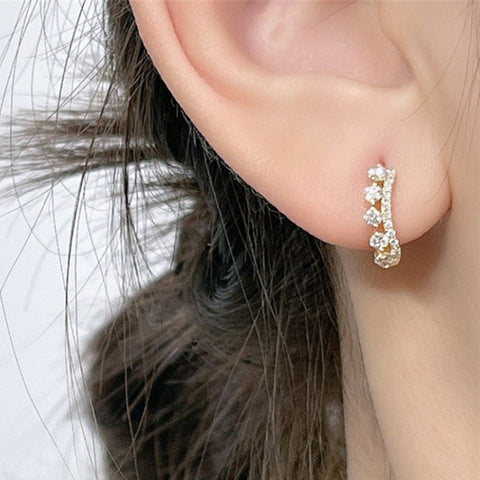 Princess Crown - S925 Sterling Silver Zircon Earrings, 14k Gold CZ Ear Buckle Crown Earrings AL959