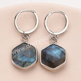 Silver Hexagon Natural Crystals Stones Faceted Earrings, Rose Quartz Aquamarine Gemstone Jewelry Earring ZS0529-6