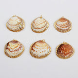 Gold Plated Scallop Shell Charm G1597