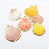 Gold Plated Rainbow Scallops Pendant G1696