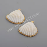 Gold Plated Natural White Shell Pendant Beach Shell Summer Jewelry Making G1776