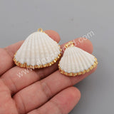 Gold Plated Natural White Shell Pendant Beach Shell Summer Jewelry Making G1776