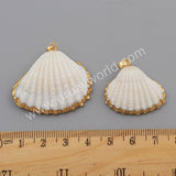 Gold Plated Natural White Shell Pendant Beach Shell Summer Jewelry Making G1776