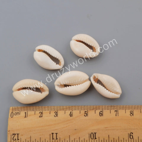 Cowrie Shell Fossil Side Drilled Beads G1759