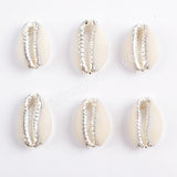 Cowrie Shell Bead Jewelry Findings For Jewelry Making  S1690