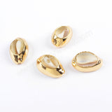 Gold Plated Cowrie Shell Bead Undrilled G1690